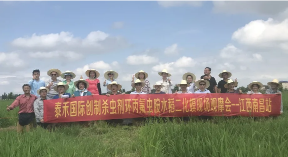 ˮ��������Ϊ�������� �������氷���ּ������� ��������ɱ����������氷ˮ��������ҩЧ������������