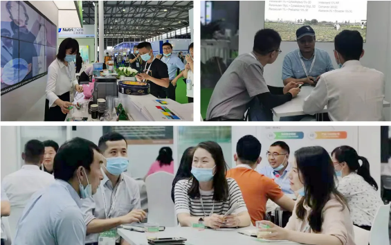 ���Ź��ʹ������ʲ�չ�ڶ�ʮ�������ũ�û�ѧƷ��ֲ��չ��