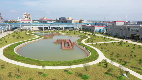 ��������ɹ���ѡ���ȼ�ר�����¡��׾��ˡ���ҵ