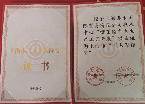 ���Ź��ʹ������ʡ��׾��������������տ�������Ŀ���� ��2021���Ϻ��й���ǰ��š����ҳƺ�